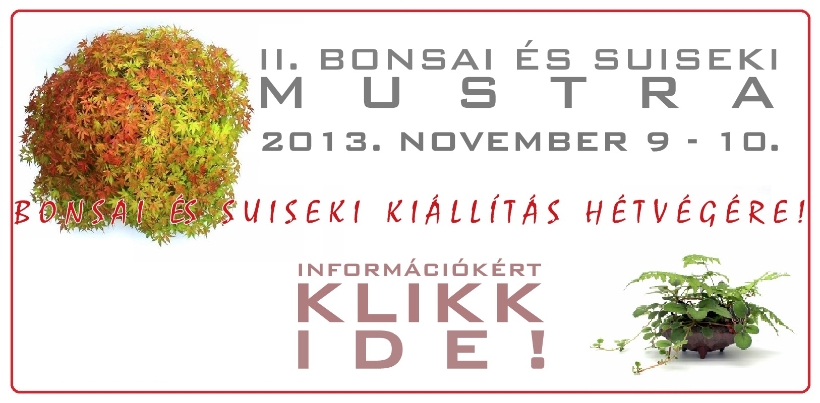 bonsai es suiseki mustra bonsai es suiseki kiallitas az erdi varosi galeriaban hungary marczika bonsai studio